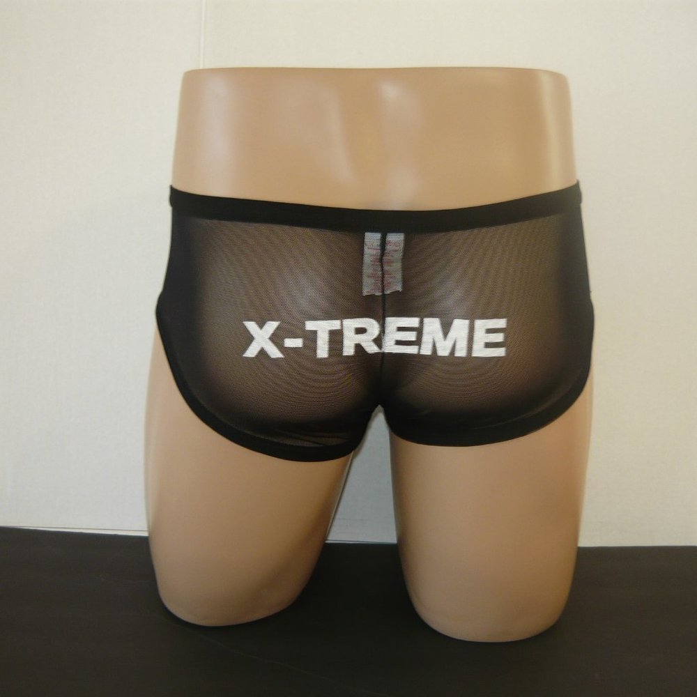 Gregg Homme X-TREME Mesh Brief, Size Large